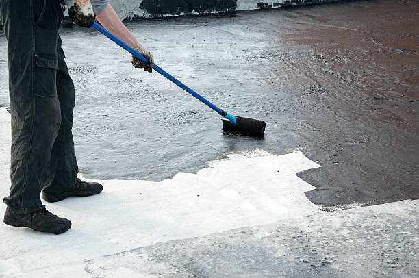 Best Concrete Grinding and Polishing in Muniz, TX